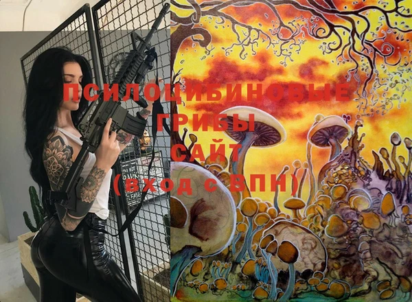 спайс Карталы